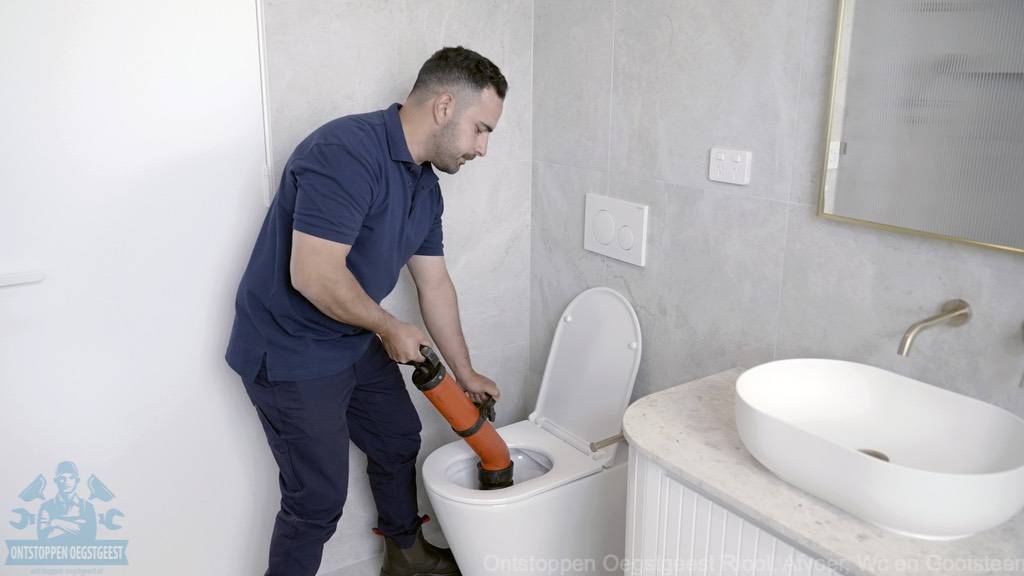 toilet ontstoppen oegstgeest